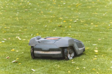 Çim biçme robot, bir bahçede çim mows otomatik çim biçme