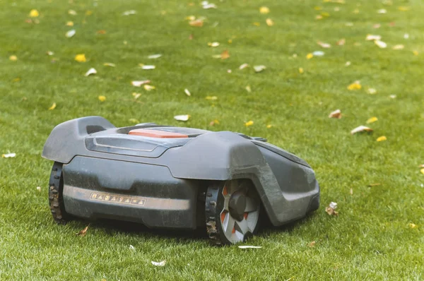 Çim biçme robot, bir bahçede çim mows otomatik çim biçme