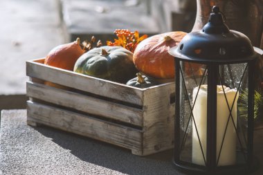 Renkli balkabakları, Cadılar Bayramı konsepti