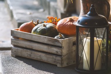 Renkli balkabakları, Cadılar Bayramı konsepti