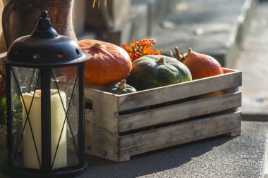 Renkli balkabakları, Cadılar Bayramı konsepti