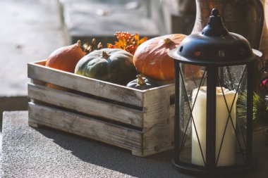 Renkli balkabakları, Cadılar Bayramı konsepti