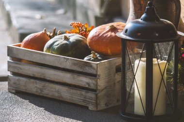 Renkli balkabakları, Cadılar Bayramı konsepti