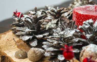 Kış kompozisyon. Noel kavramı