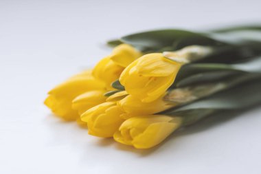 Sarı kapalı çiğdemler grup