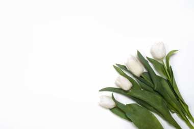 Beyaz arkaplanda bir buket beyaz lale