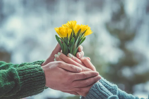 Bir Erkek Bir Kadının Elinde Bir Buket Bahar Çiçeği — Stok fotoğraf