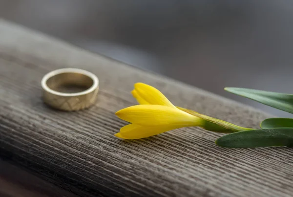 Vigselring Och Gul Vild Blomma Träskiva — Stockfoto