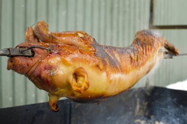 Bir tükürük üzerinde kavrulmuş domuz yavrusu.