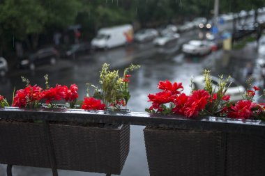 sokağa bakan balkonda bir sepet içinde kırmızı çiçekler. yağmurlu gün