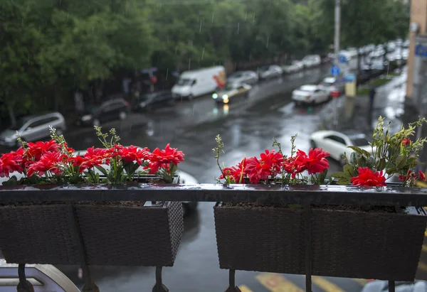 sokağa bakan balkonda bir sepet içinde kırmızı çiçekler. yağmurlu gün
