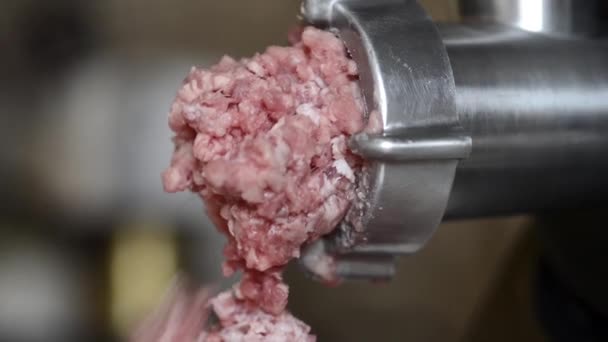 Meat Grinded Meat Grinder Pare Raw Meat Falls Electric Meat — Stock Video