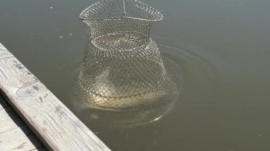 close-up footage of person fishing in river