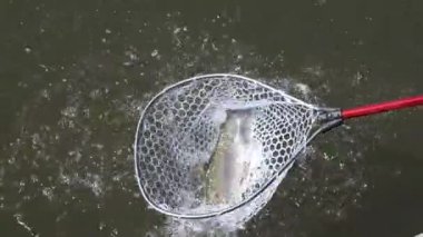 close-up footage of person fishing in river