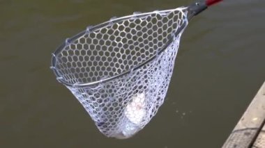 close-up footage of person fishing in river