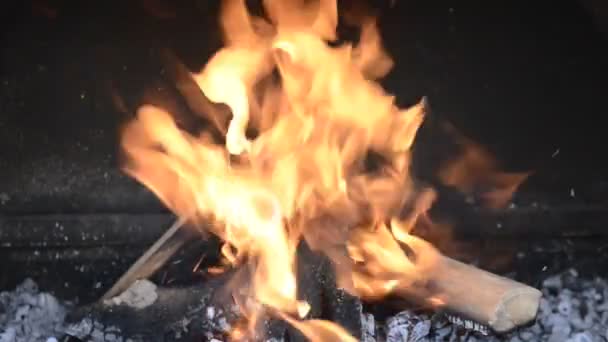 Blaze Carbone Fuoco Fiamma Sfondo Texture — Video Stock