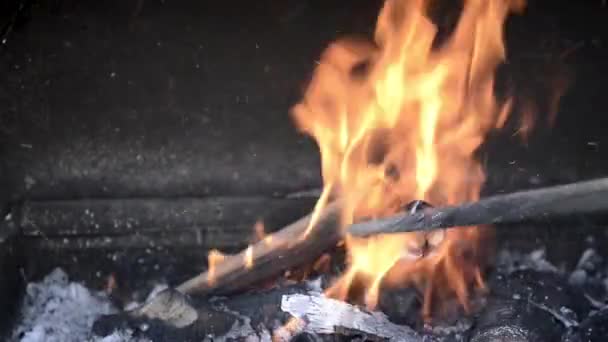 Blaze Charcoal Fire Flame Bakgrund Eller Textur — Stockvideo