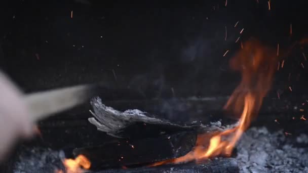 Blaze Cărbune Foc Flacără Fundal Sau Textură — Videoclip de stoc