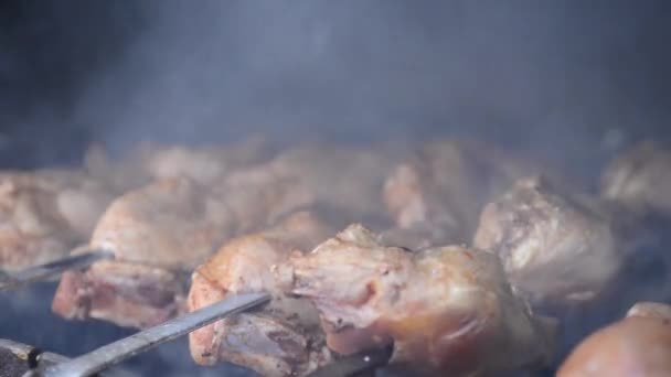 Shish Kebab Wordt Gebakken Een Vuurkorf Barbecue Vlees Varkensvlees Kip — Stockvideo
