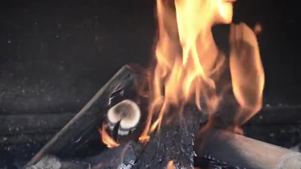 Blaze Charcoal Ogień Płomień Tło Lub Tekstury — Wideo stockowe