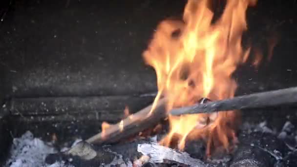 Fogo Carvão Chama Fundo Textura — Vídeo de Stock