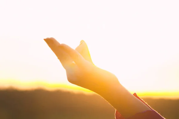 Voltar luz de uma mulher exercitando ioga ao pôr do sol com um ba calor — Fotografia de Stock