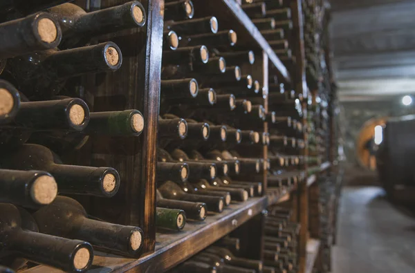 dusty wine bottles on a wooden shelf in a wine cellar