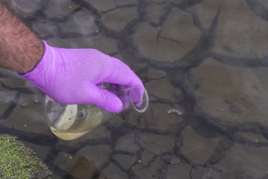 Analiz için nehirden örnek su. Bir test tüpü tutan eldiven. Ekoloji konsepti.