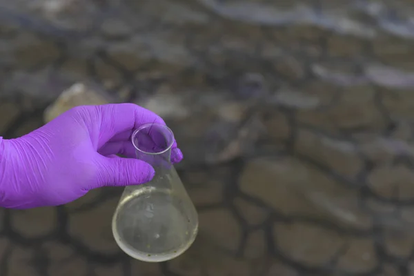 Una Muestra Agua Del Río Mano Guante Recoge Agua Tubo — Foto de Stock