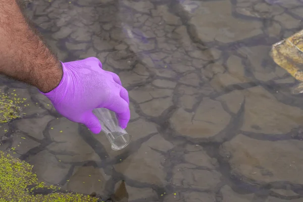 A water sample from the river. Hand in glove collects water in a test tube. ecology concept