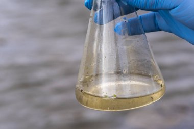 Nehirden bir su örneği. Eldiven takıp test tüpünde su topluyor. ekoloji kavramı