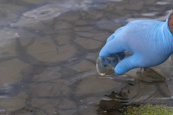 A water sample from the river. Hand in glove collects water in a test tube. ecology concept