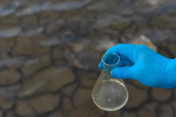 Amostra Água Rio Para Análise Mão Luva Segurando Conceito Teste — Fotografia de Stock