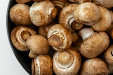 Beyaz arka planda kasede taze mantar şampiyonu. Boşluğu kopyala.