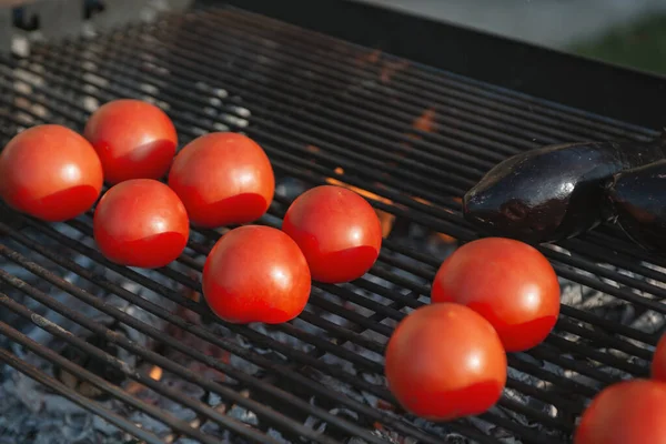Tomaten Und Auberginen Auf Einem Grillrost — Stockfoto