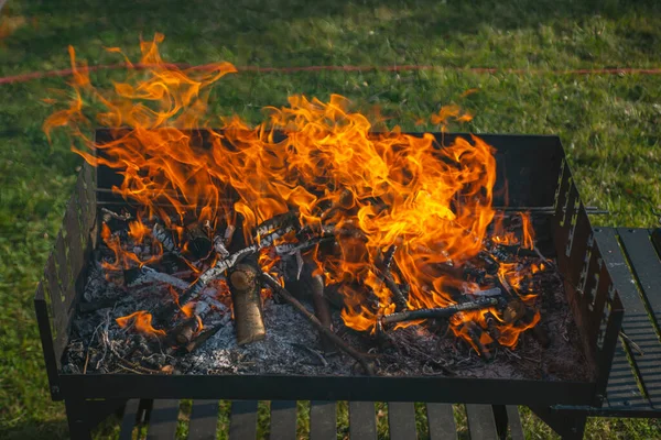 Fogo Churrasco Recém Aceso Com Troncos Madeira Queimada Sobre Pequenos — Fotografia de Stock