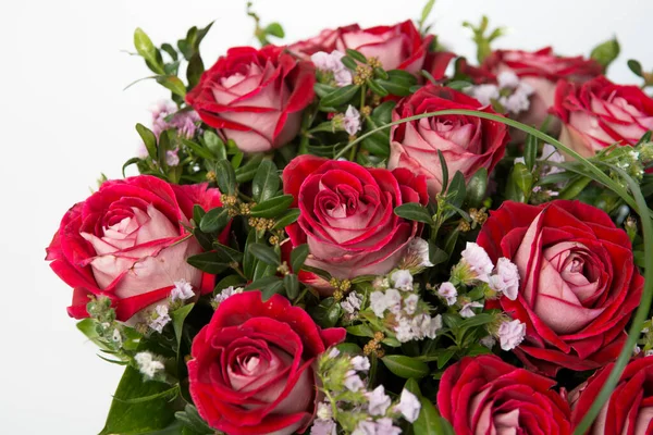 Red Rose Flowers Bouquet White Background Close — Stock Photo, Image