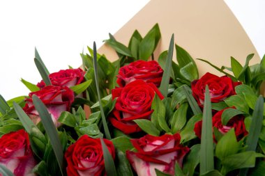 Beyaz arka planda kırmızı gül buketi. Kapat.