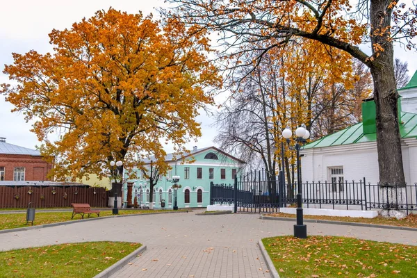 English Oak Living Monument City Vladimir — Stok fotoğraf