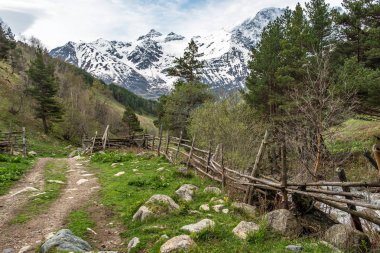 Dağ manzarası. Elbrus bölgesi. Güzel manzara.