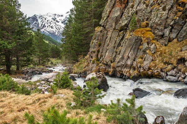 Dağ nehri Terskol, geçitte. Elbrus bölgesi.