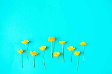 Parlak mavi arka planda küçük sarı çiçekler. Çiçekli yaz arkaplanı.. 