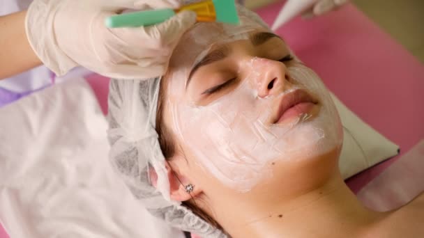 Specialista di cosmetologia che applica la maschera facciale con il pennello, rendendo la pelle idratata e sana. Donna attraente rilassante — Video Stock