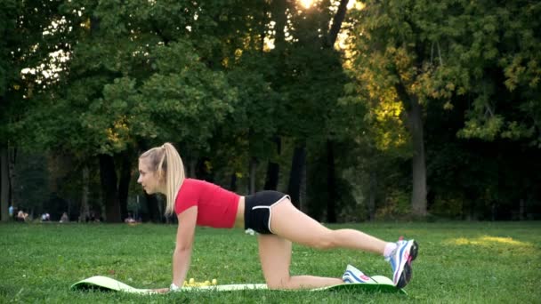 Молодая девушка занимается фитнесом на открытом воздухе, женщина занимается спортом в парке, упражнения на ягоду — стоковое видео
