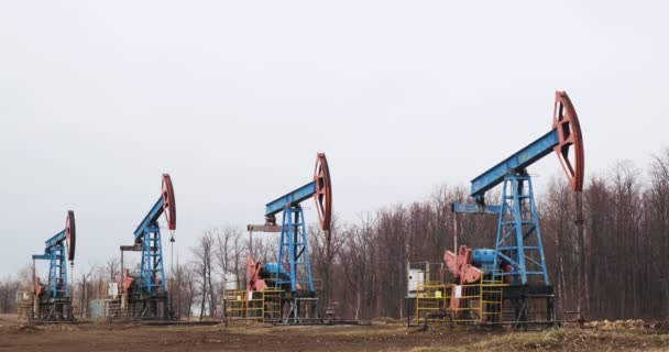 Four oil derricks pump oil — Stock Video
