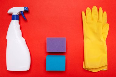  Ev için temizlik ürünleri