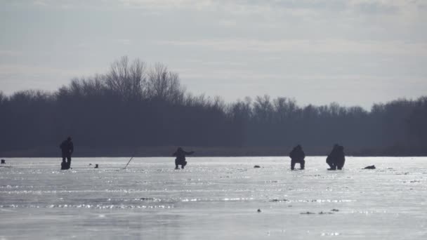 Winter fishing. Fisherman on a lake at winter sunny day. — Stock Footage Winter fishing. Fisherman on a lake at winter sunny day. Stock Video