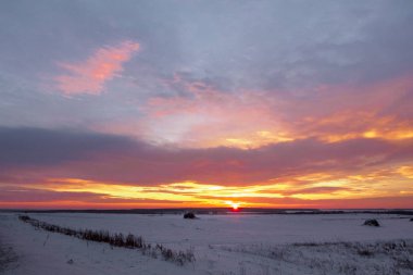 Görkemli günbatımı kış manzara içinde. Güneş ışığı tarafından parlak fantastik sabah manzara. Dramatik kış sahne. Doğal park.