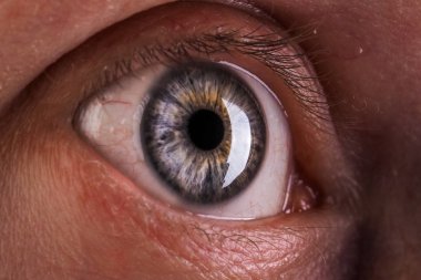 İnsan gözü, iris, göz, göz kirpikleri, göz kapaklarının makro fotoğraf.