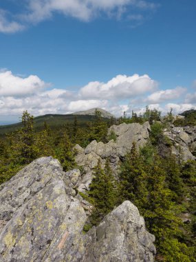 Rock ormandaki ile yaz günü manzara. Rusya'da dağlar.